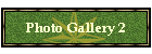Photo Gallery 2